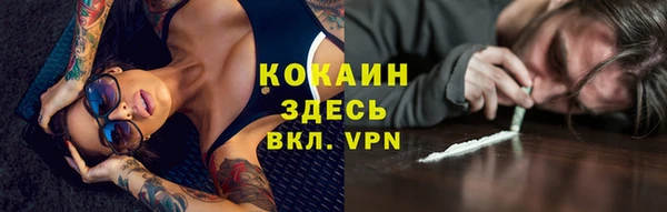 бошки Ельня