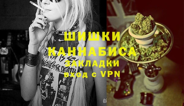 бошки Ельня