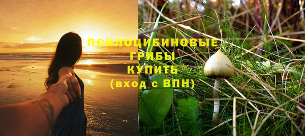 mdma Елабуга
