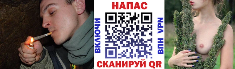 МАРИХУАНА сатива  Усть-Катав 